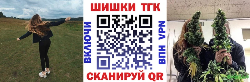 Каннабис SATIVA & INDICA  Каргат 